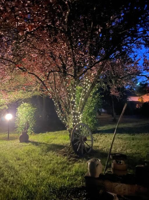 La Casa Del Papa - Maison Spacieuse Avec Jardin Dole Exterior foto