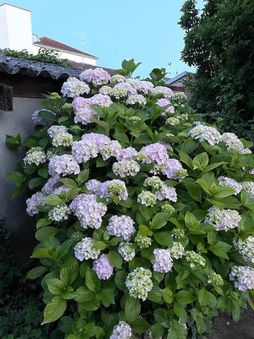 La Casa Del Papa - Maison Spacieuse Avec Jardin Villa Dole Exterior foto